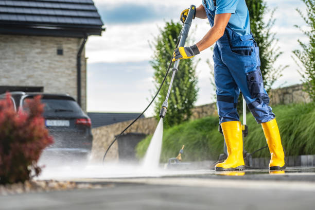 Best Window and Screen Pressure Cleaning in Elgin, IL